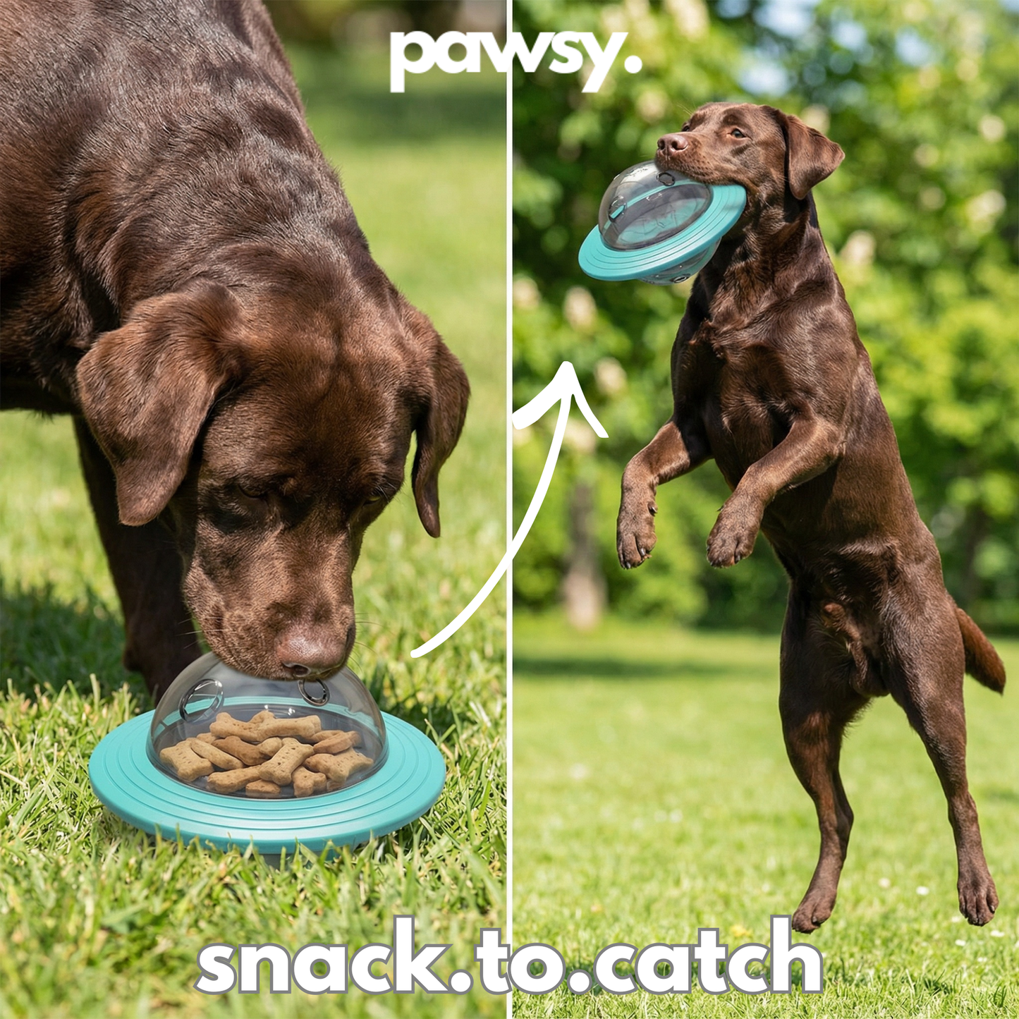 🐶Dog puzzle ball with treat-dispensing function