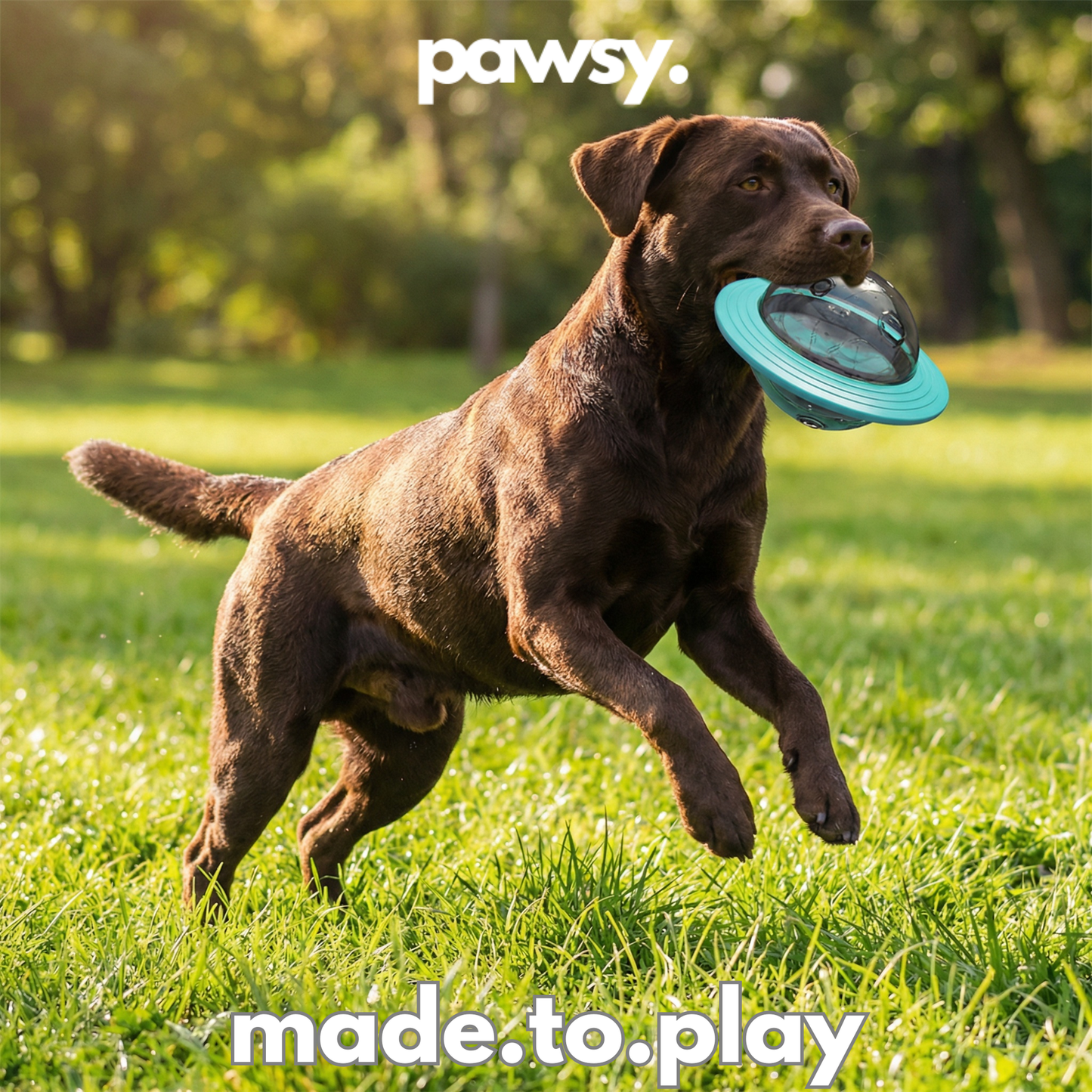 🐶Dog puzzle ball with treat-dispensing function