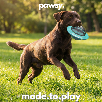 🐶Dog puzzle ball with treat-dispensing function